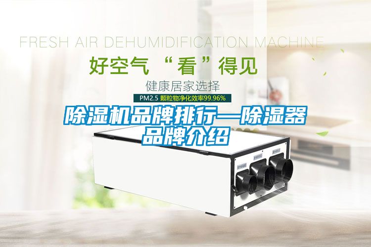 除濕機品牌排行—除濕器品牌介紹