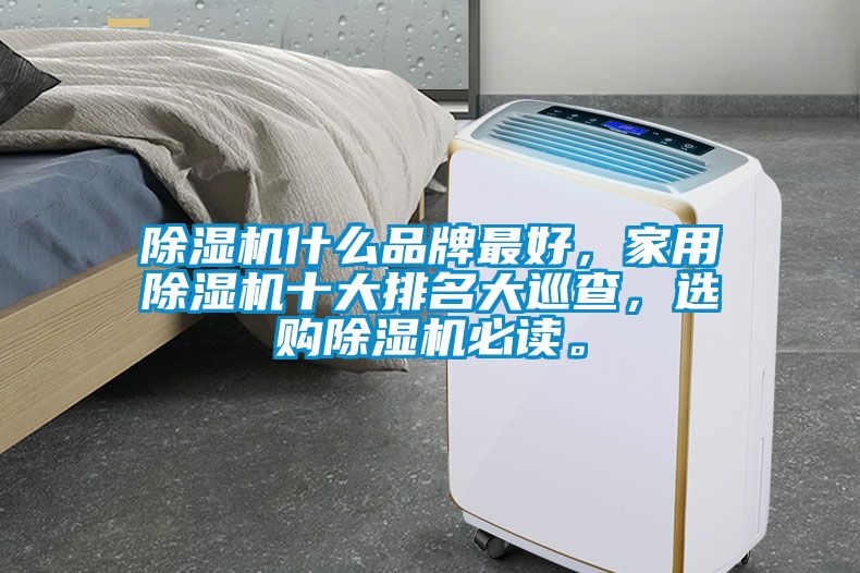 除濕機什么品牌最好，家用除濕機十大排名大巡查，選購除濕機必讀。