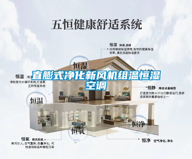 直膨式凈化新風(fēng)機組溫恒濕空調
