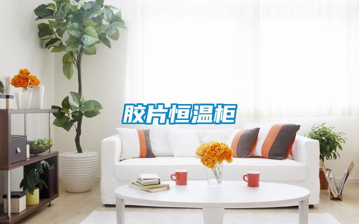 膠片恒溫柜