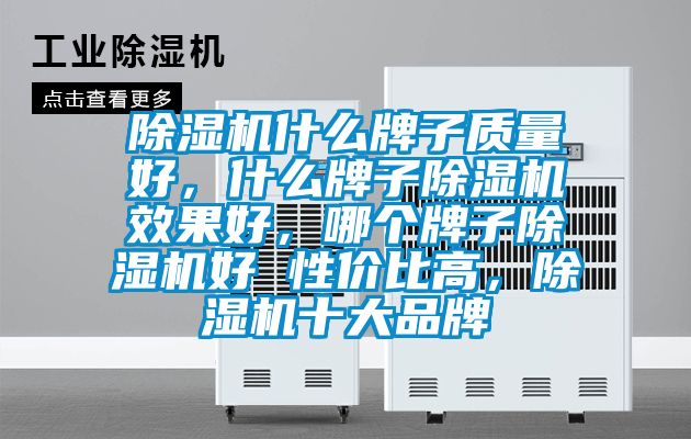 除濕機什么牌子質(zhì)量好，什么牌子除濕機效果好，哪個(gè)牌子除濕機好 性?xún)r(jià)比高，除濕機十大品牌