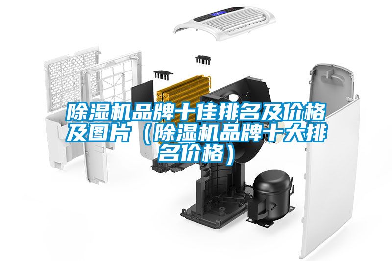 除濕機(jī)品牌十佳排名及價(jià)格及圖片（除濕機(jī)品牌十大排名價(jià)格）