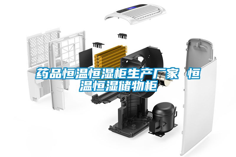 藥品恒溫恒濕柜生產(chǎn)廠(chǎng)家 恒溫恒濕儲物柜