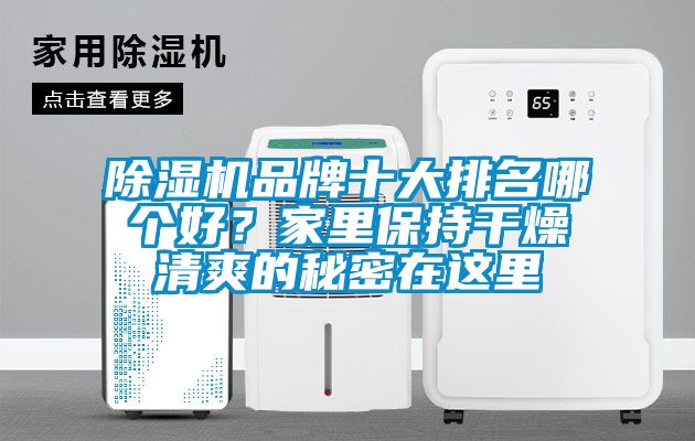除濕機品牌十大排名哪個(gè)好？家里保持干燥清爽的秘密在這里