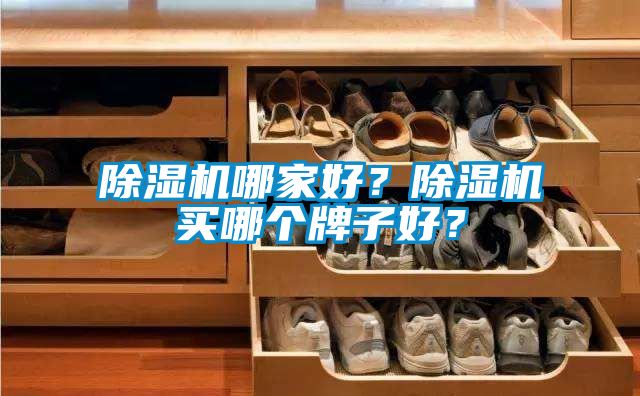除濕機哪家好？除濕機買(mǎi)哪個(gè)牌子好？
