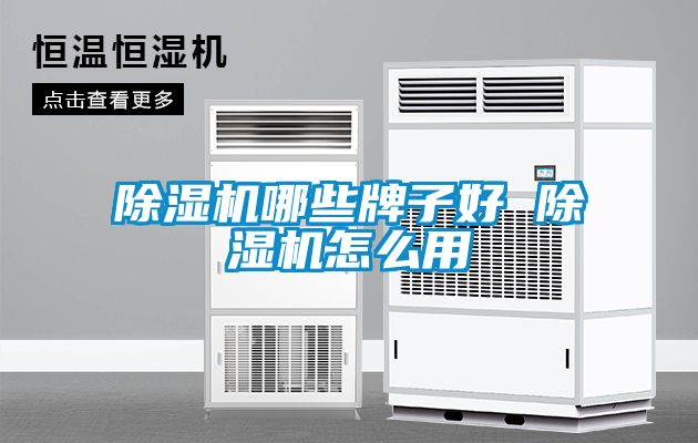 除濕機(jī)哪些牌子好 除濕機(jī)怎么用