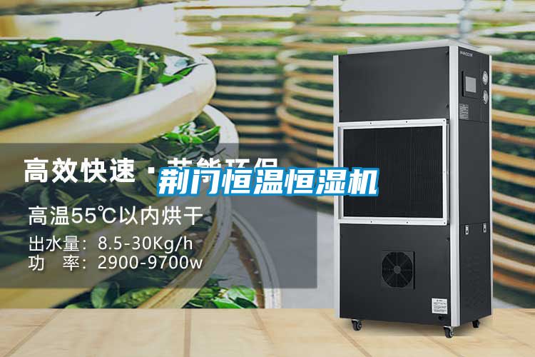 荊門(mén)恒溫恒濕機