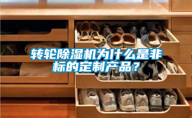 轉(zhuǎn)輪除濕機為什么是非標的定制產(chǎn)品？