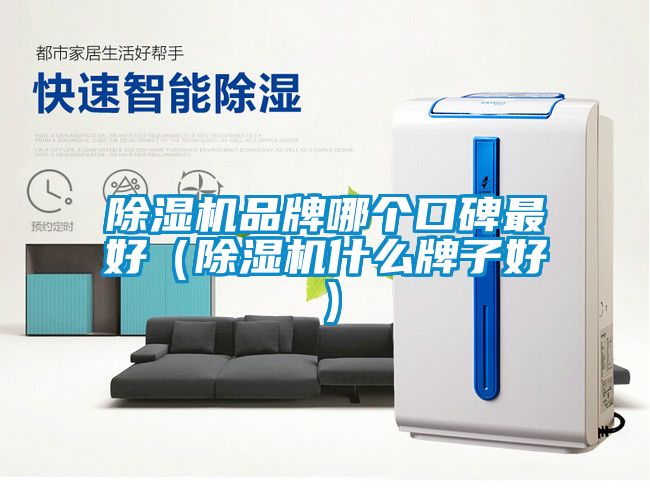 除濕機品牌哪個(gè)口碑最好（除濕機什么牌子好）