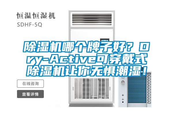 除濕機哪個(gè)牌子好？Dry-Active可穿戴式除濕機讓你無(wú)懼潮濕！