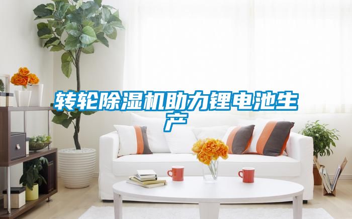 轉(zhuǎn)輪除濕機(jī)助力鋰電池生產(chǎn)