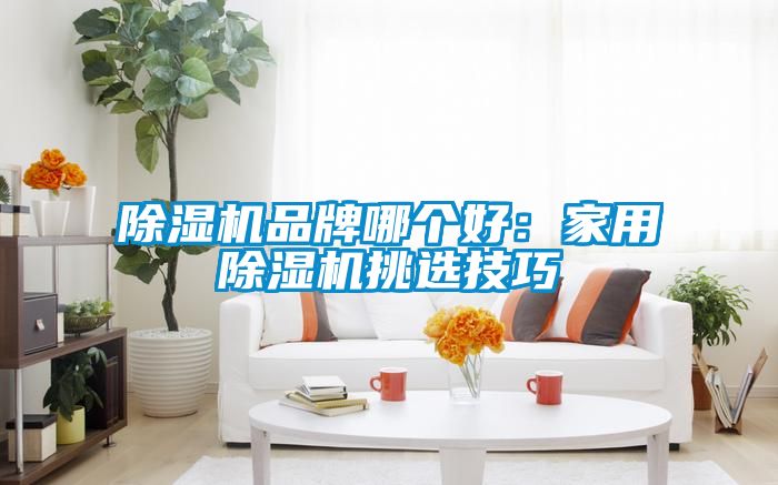 除濕機品牌哪個(gè)好：家用除濕機挑選技巧
