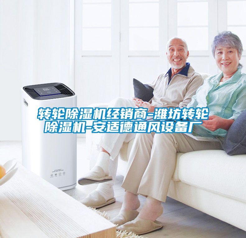 轉(zhuǎn)輪除濕機(jī)經(jīng)銷商-濰坊轉(zhuǎn)輪除濕機(jī)-安適德通風(fēng)設(shè)備廠