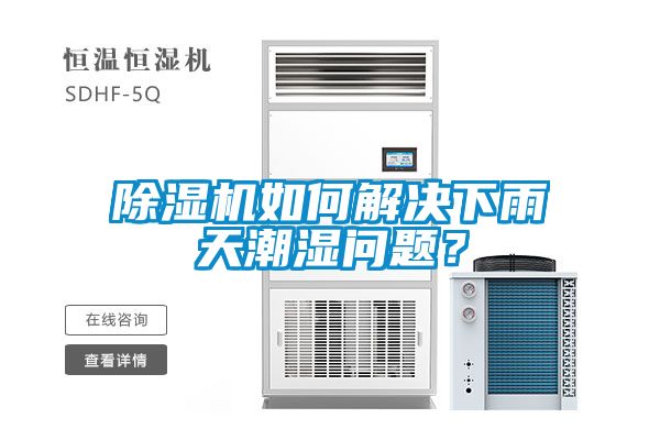 除濕機如何解決下雨天潮濕問題？