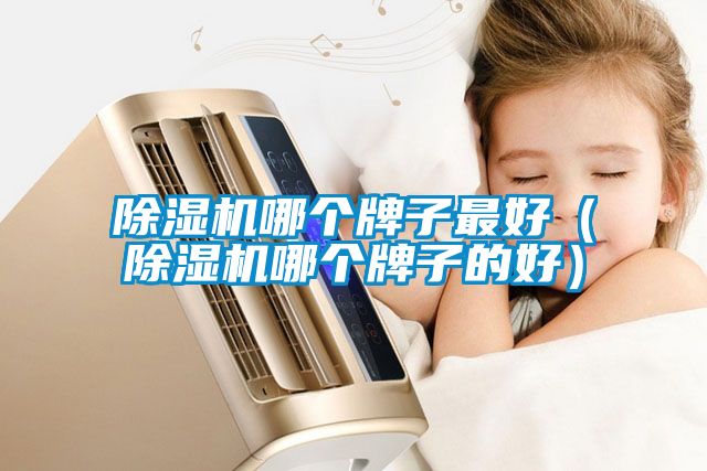 除濕機哪個(gè)牌子最好（除濕機哪個(gè)牌子的好）
