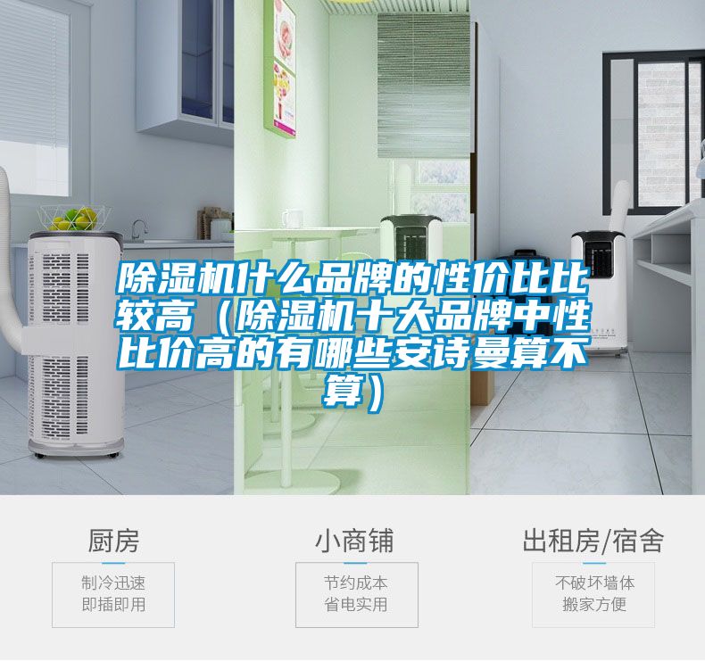 除濕機什么品牌的性?xún)r(jià)比比較高（除濕機十大品牌中性比價(jià)高的有哪些安詩(shī)曼算不算）