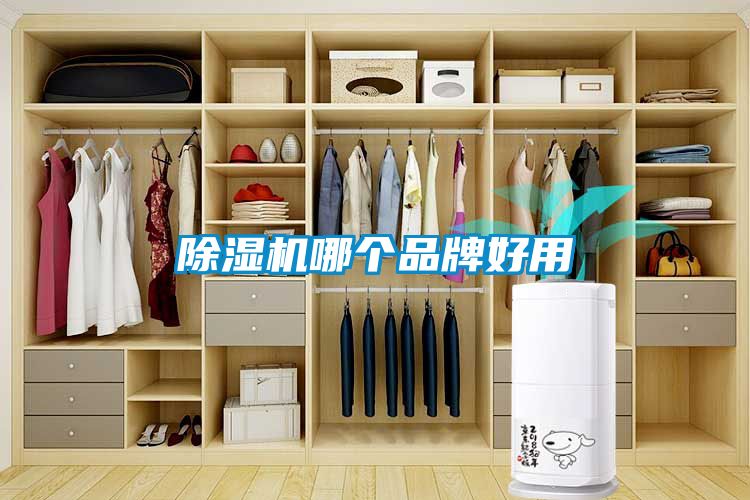 除濕機哪個(gè)品牌好用