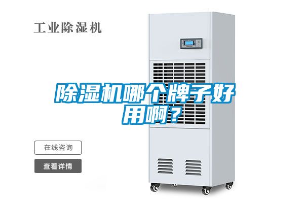 除濕機哪個牌子好 用??？