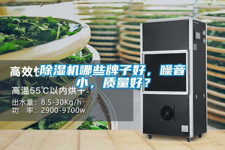 除濕機(jī)哪些牌子好，噪音小，質(zhì)量好？