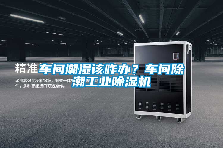 車(chē)間潮濕該咋辦？車(chē)間除潮工業(yè)除濕機