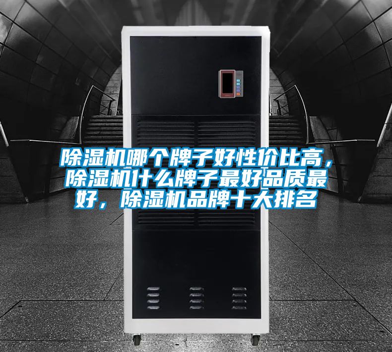 除濕機哪個(gè)牌子好性?xún)r(jià)比高，除濕機什么牌子最好品質(zhì)最好，除濕機品牌十大排名
