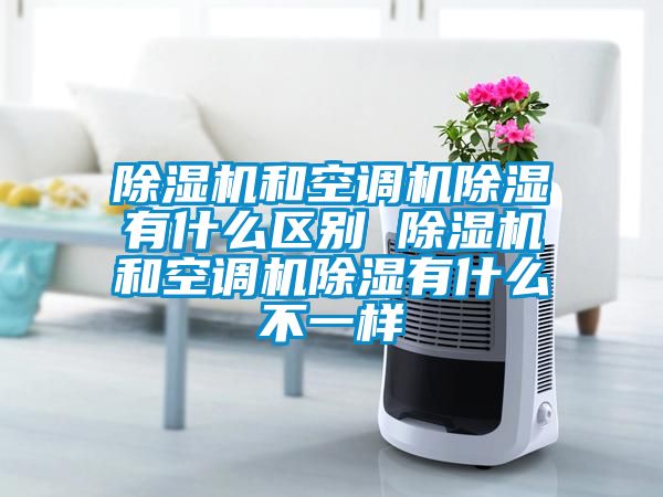 除濕機(jī)和空調(diào)機(jī)除濕有什么區(qū)別 除濕機(jī)和空調(diào)機(jī)除濕有什么不一樣