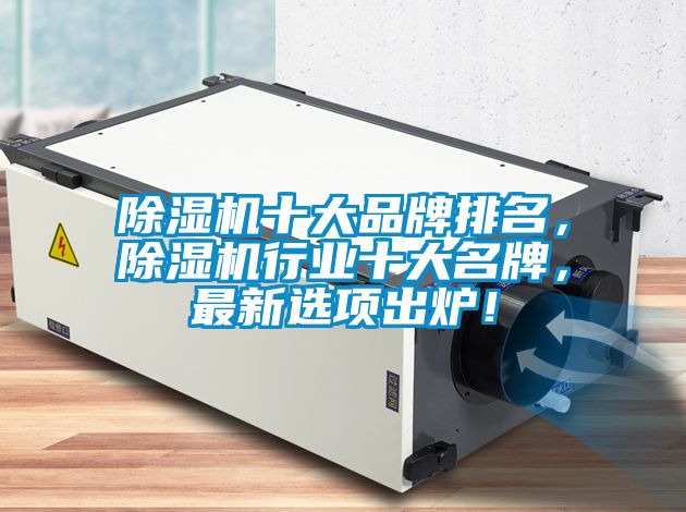 除濕機十大品牌排名，除濕機行業(yè)十大名牌，最新選項出爐！