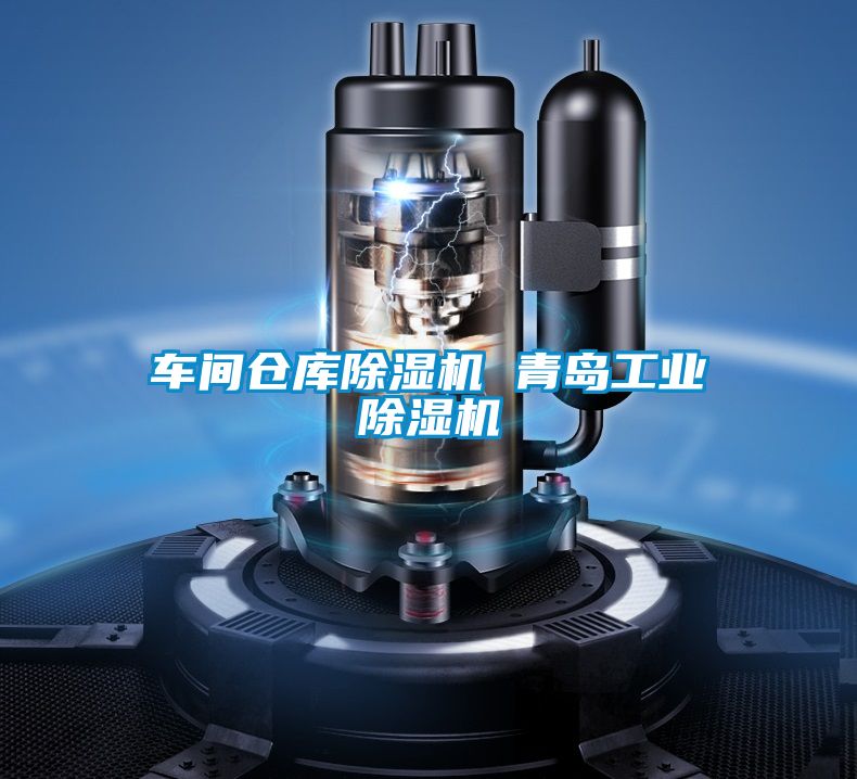 車間倉庫除濕機(jī) 青島工業(yè)除濕機(jī)