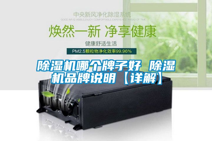 除濕機哪個(gè)牌子好 除濕機品牌說(shuō)明【詳解】