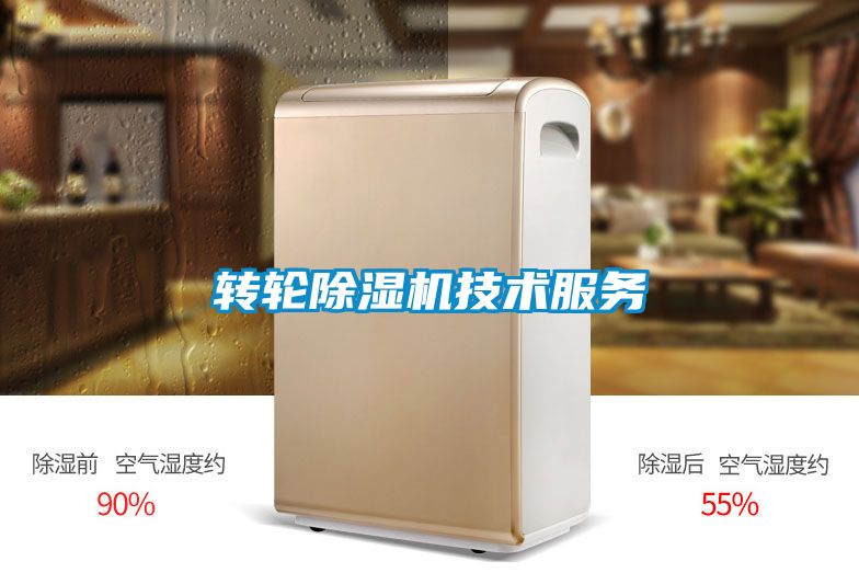 轉輪除濕機技術(shù)服務(wù)