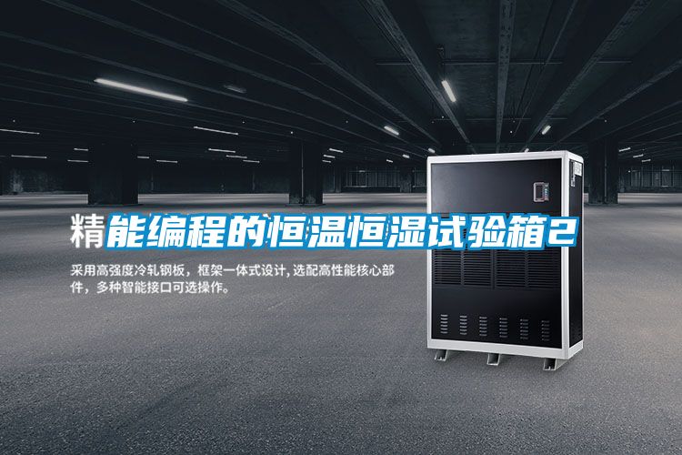 能編程的恒溫恒濕試驗箱2