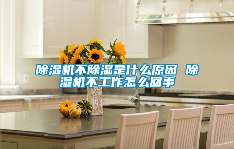 除濕機不除濕是什么原因 除濕機不工作怎么回事