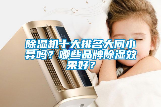 除濕機十大排名大同小異嗎？哪些品牌除濕效果好？