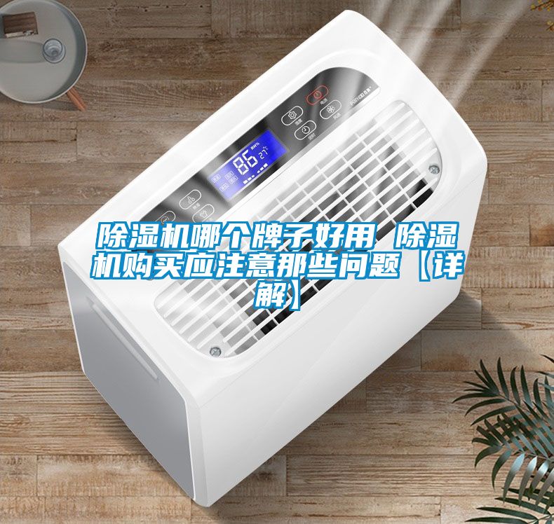 除濕機(jī)哪個(gè)牌子好用 除濕機(jī)購(gòu)買應(yīng)注意那些問題【詳解】