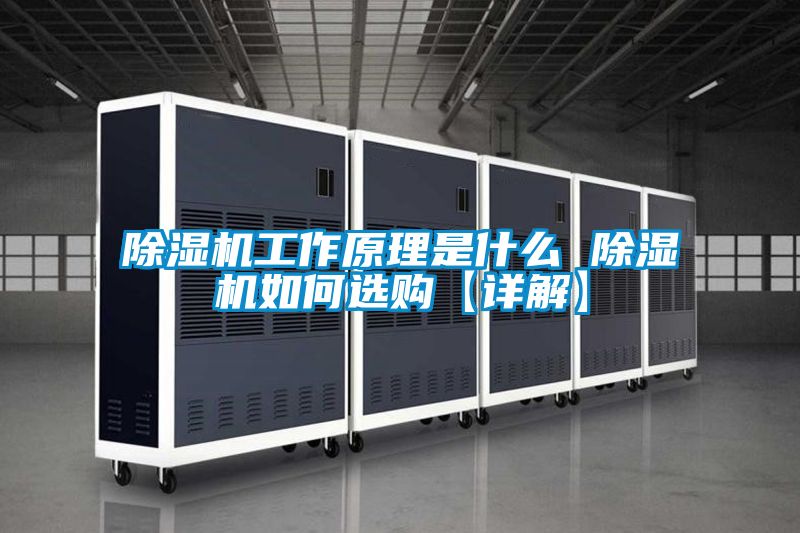 除濕機(jī)工作原理是什么 除濕機(jī)如何選購(gòu)【詳解】