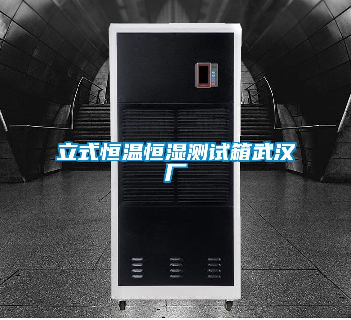 立式恒溫恒濕測試箱武漢廠(chǎng)