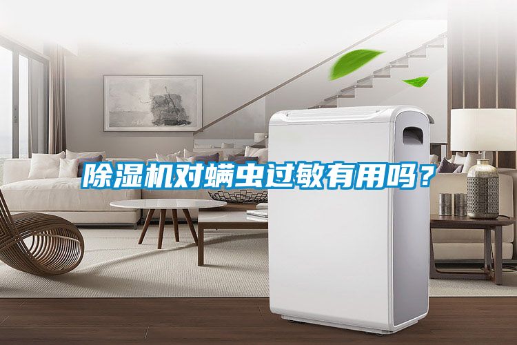 除濕機對螨蟲(chóng)過(guò)敏有用嗎？