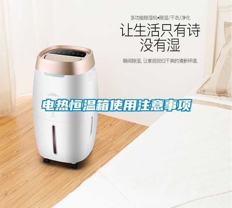 電熱恒溫箱使用注意事項