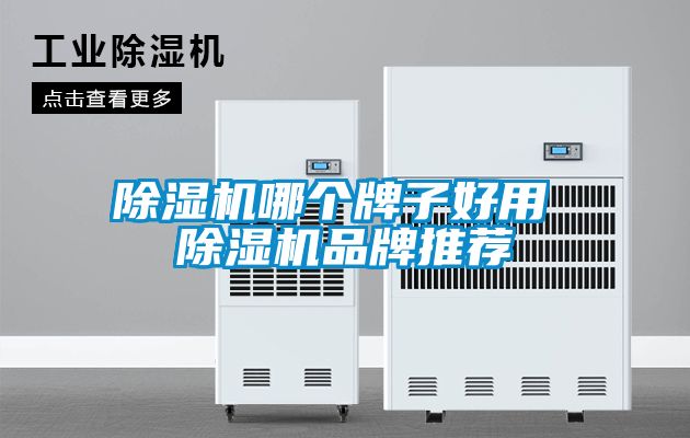 除濕機哪個(gè)牌子好用 除濕機品牌推薦