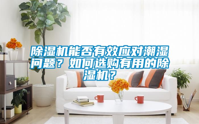 除濕機能否有效應對潮濕問(wèn)題？如何選購有用的除濕機？