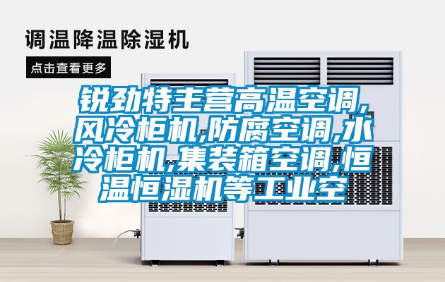 銳勁特主營(yíng)高溫空調,風(fēng)冷柜機,防腐空調,水冷柜機,集裝箱空調,恒溫恒濕機等工業(yè)空