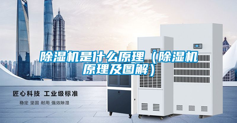 除濕機(jī)是什么原理（除濕機(jī)原理及圖解）