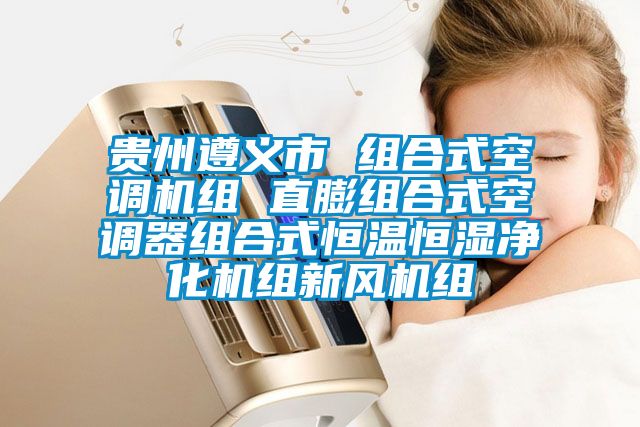 貴州遵義市 組合式空調(diào)機組 直膨組合式空調(diào)器組合式恒溫恒濕凈化機組新風(fēng)機組