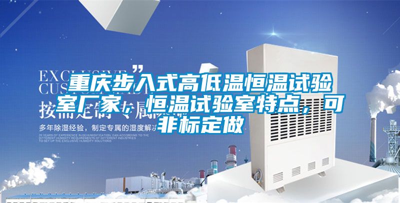 重慶步入式高低溫恒溫試驗室廠(chǎng)家，恒溫試驗室特點(diǎn)，可非標定做