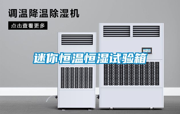 迷你恒溫恒濕試驗(yàn)箱