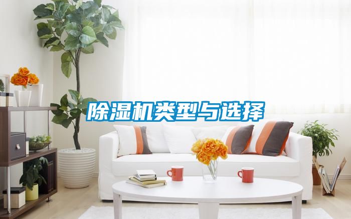 除濕機(jī)類型與選擇