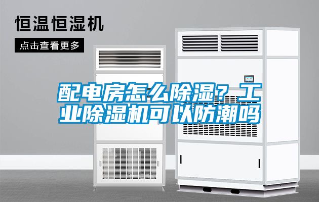 配電房怎么除濕？工業(yè)除濕機可以防潮嗎