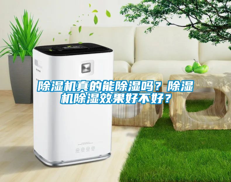 除濕機(jī)真的能除濕嗎？除濕機(jī)除濕效果好不好？