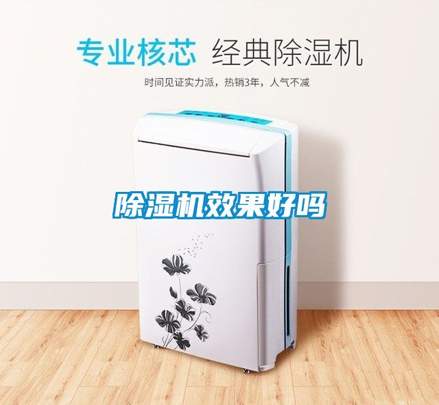 除濕機(jī)效果好嗎