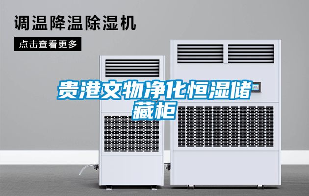 貴港文物凈化恒濕儲(chǔ)藏柜